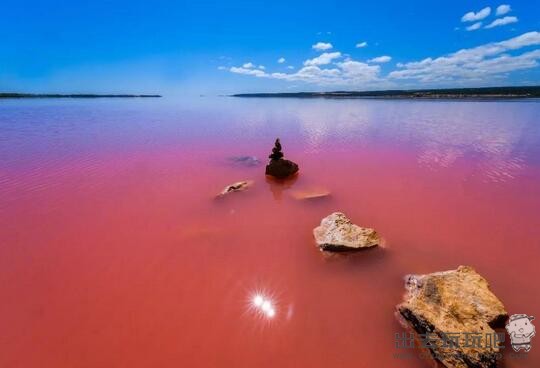 西澳旅游攻略之西澳粉红湖推荐，浪漫美景最佳欣赏之地